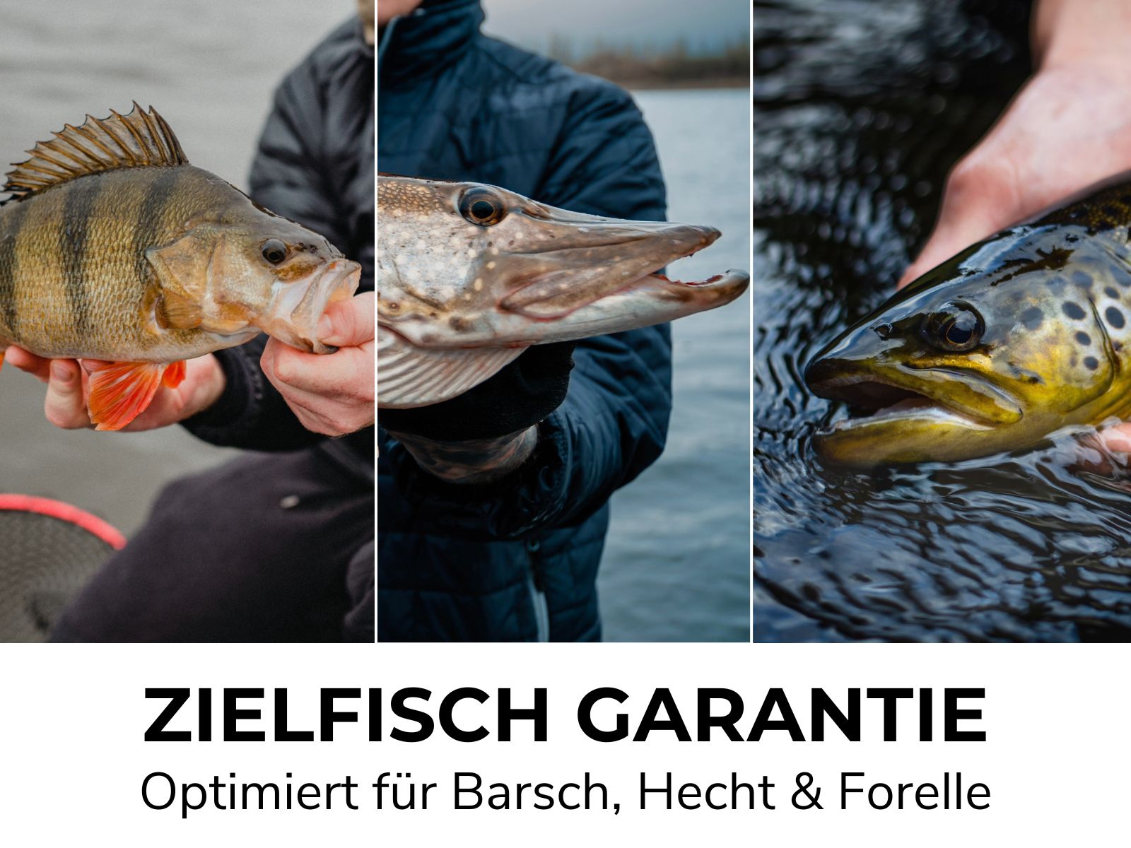 Black Friday Mega Bundle - Barsch, Hecht, Forelle + GRATIS KIT