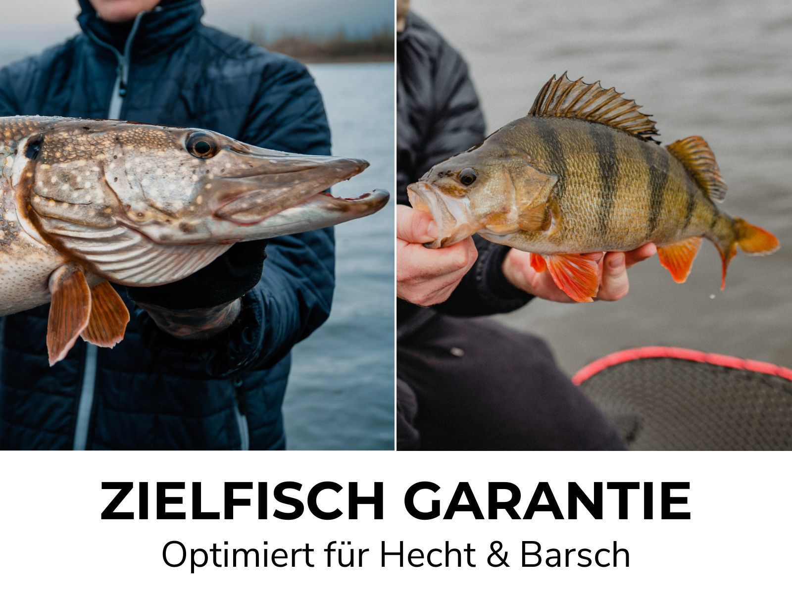 HECHT & BARSCH Bundle - 2x Go Kits