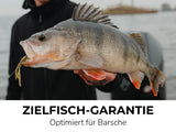 PERCH GO KIT 2 - BARSCH STARTER COMBO