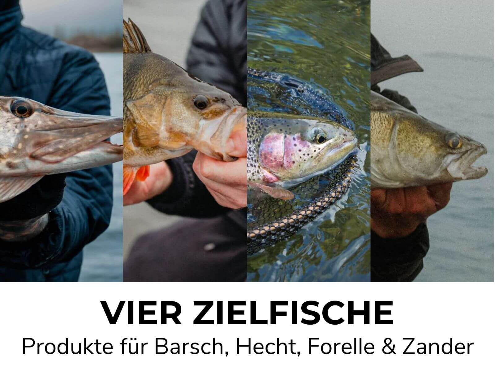 Calendrier de l'Avent Pêche 2025 - édition limitée