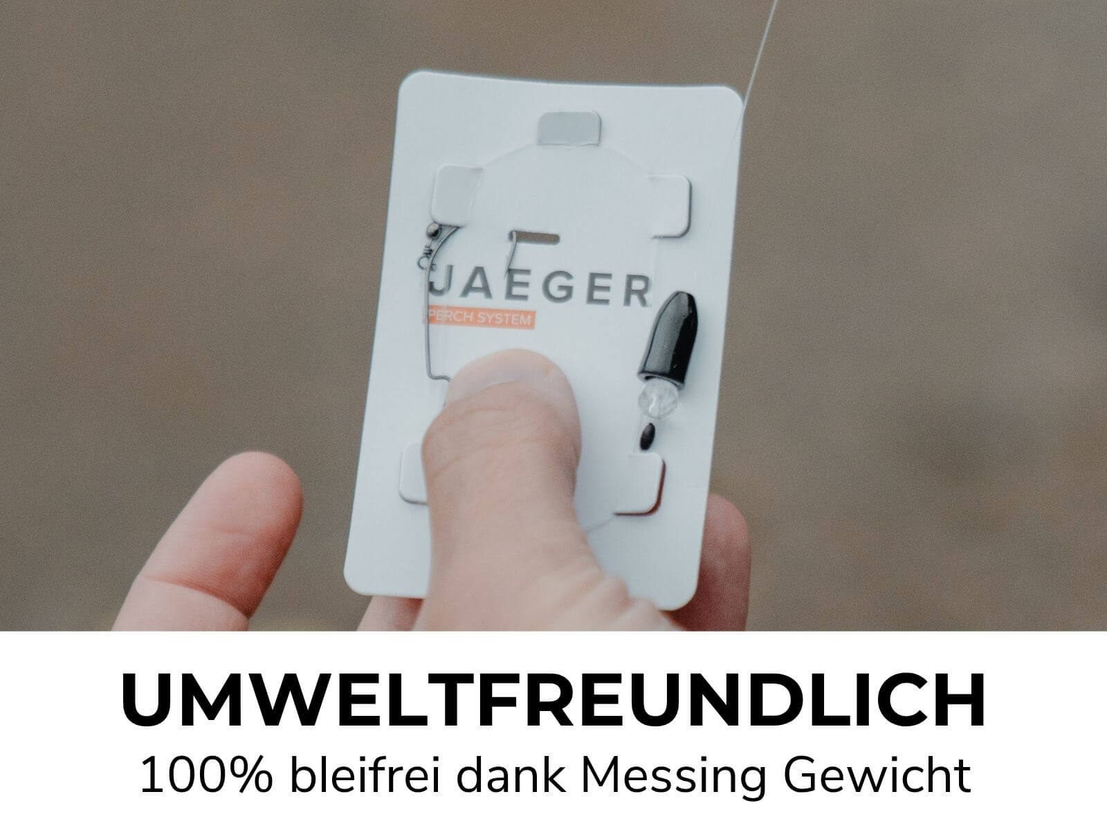 Carolina Rig - Montage pour perche
