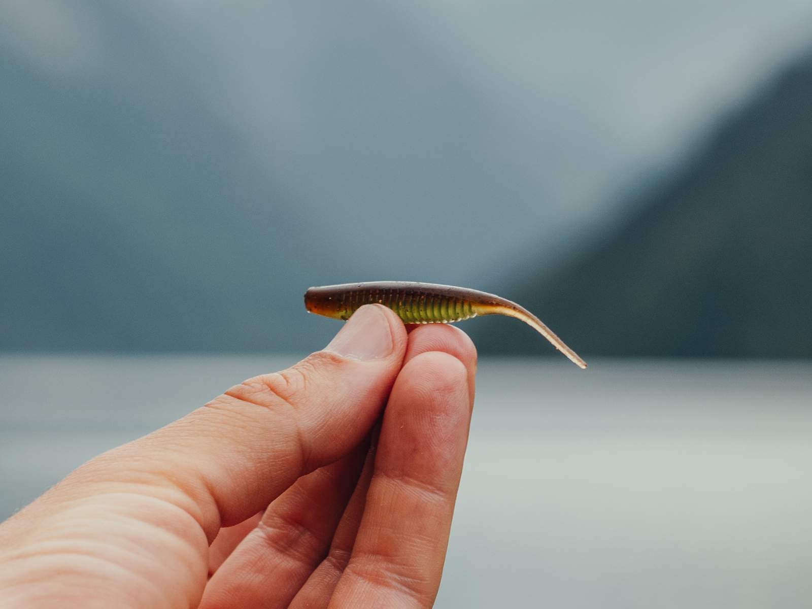 NANO - Barsch Gummiköder
