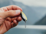 NEMA - Forellen Spoon / Löffel