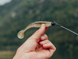 Brochet Box
