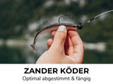 KIT DE DÉMARRAGE ZANDER - Combo de démarrage Zander